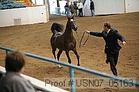 usn07_05163 proof