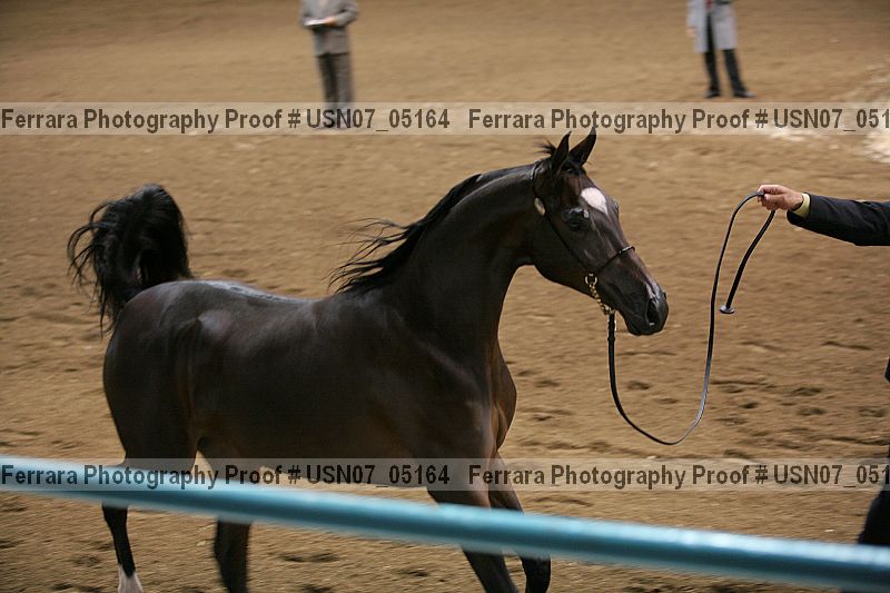 Proof usn07_05164