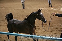 usn07_05164 proof