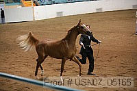 usn07_05165 proof