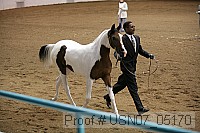 usn07_05170 proof