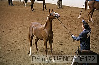 usn07_05172 proof