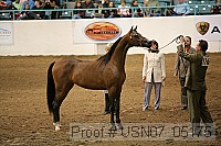 usn07_05175 proof