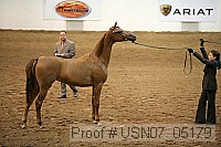 usn07_05179 proof
