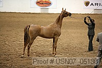 usn07_05180 proof