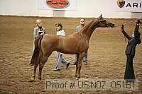 usn07_05181 proof