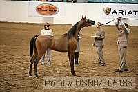 usn07_05186 proof
