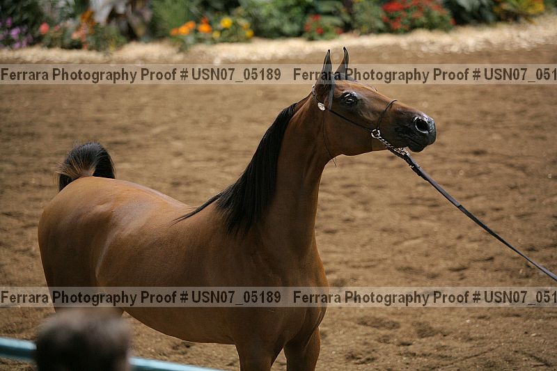 Proof usn07_05189
