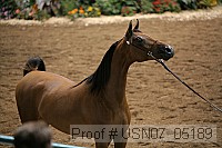 usn07_05189 proof