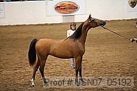 usn07_05192 proof