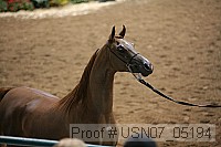 usn07_05194 proof