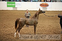 usn07_05195 proof