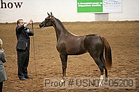 usn07_05200 proof