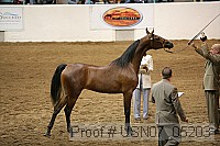 usn07_05203 proof
