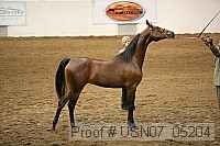 usn07_05204 proof