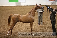 usn07_05205 proof