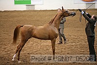 usn07_05206 proof