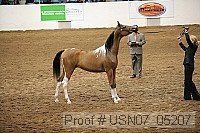 usn07_05207 proof