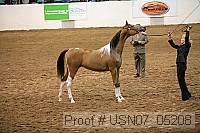 usn07_05208 proof