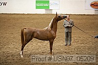 usn07_05209 proof