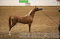 usn07_05210 proof