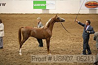 usn07_05211 proof