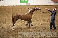 usn07_05212 proof