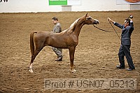usn07_05213 proof
