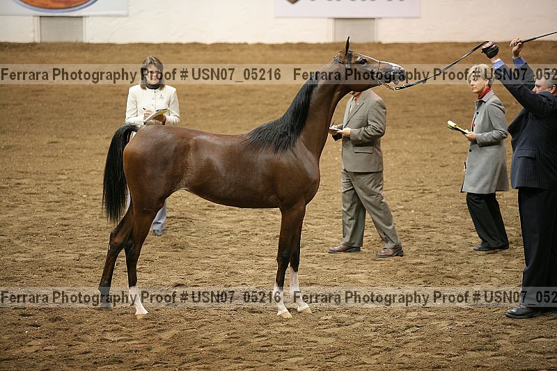 Proof usn07_05216