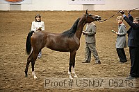 usn07_05216 proof