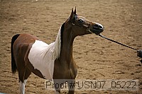 usn07_05222 proof