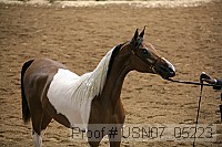usn07_05223 proof