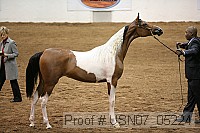 usn07_05224 proof