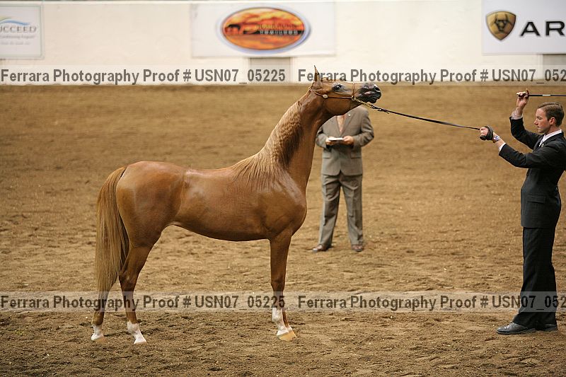 Proof usn07_05225