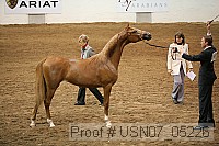 usn07_05226 proof