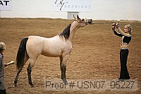 usn07_05227 proof