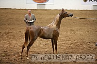 usn07_05229 proof
