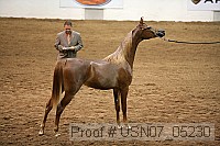 usn07_05230 proof