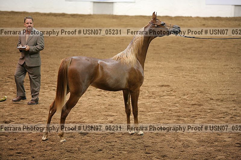 Proof usn07_05231