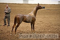 usn07_05231 proof