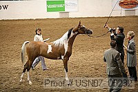 usn07_05232 proof