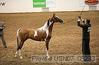 usn07_05233 proof