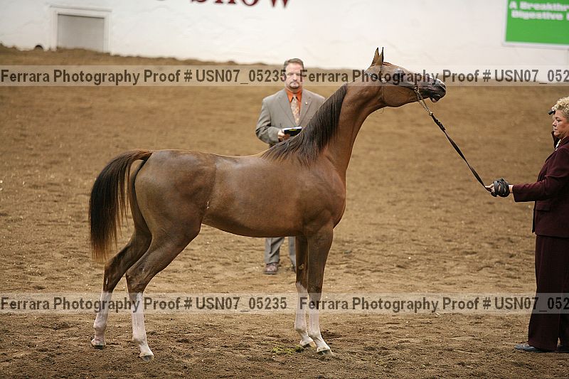 Proof usn07_05235