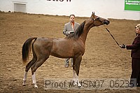 usn07_05235 proof