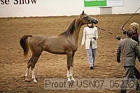 usn07_05236 proof