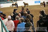 usn07_05246 proof