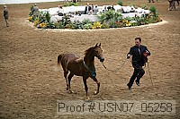 usn07_05258 proof