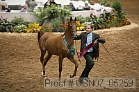 usn07_05259 proof