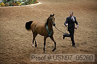 usn07_05260 proof