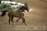 usn07_05261 proof